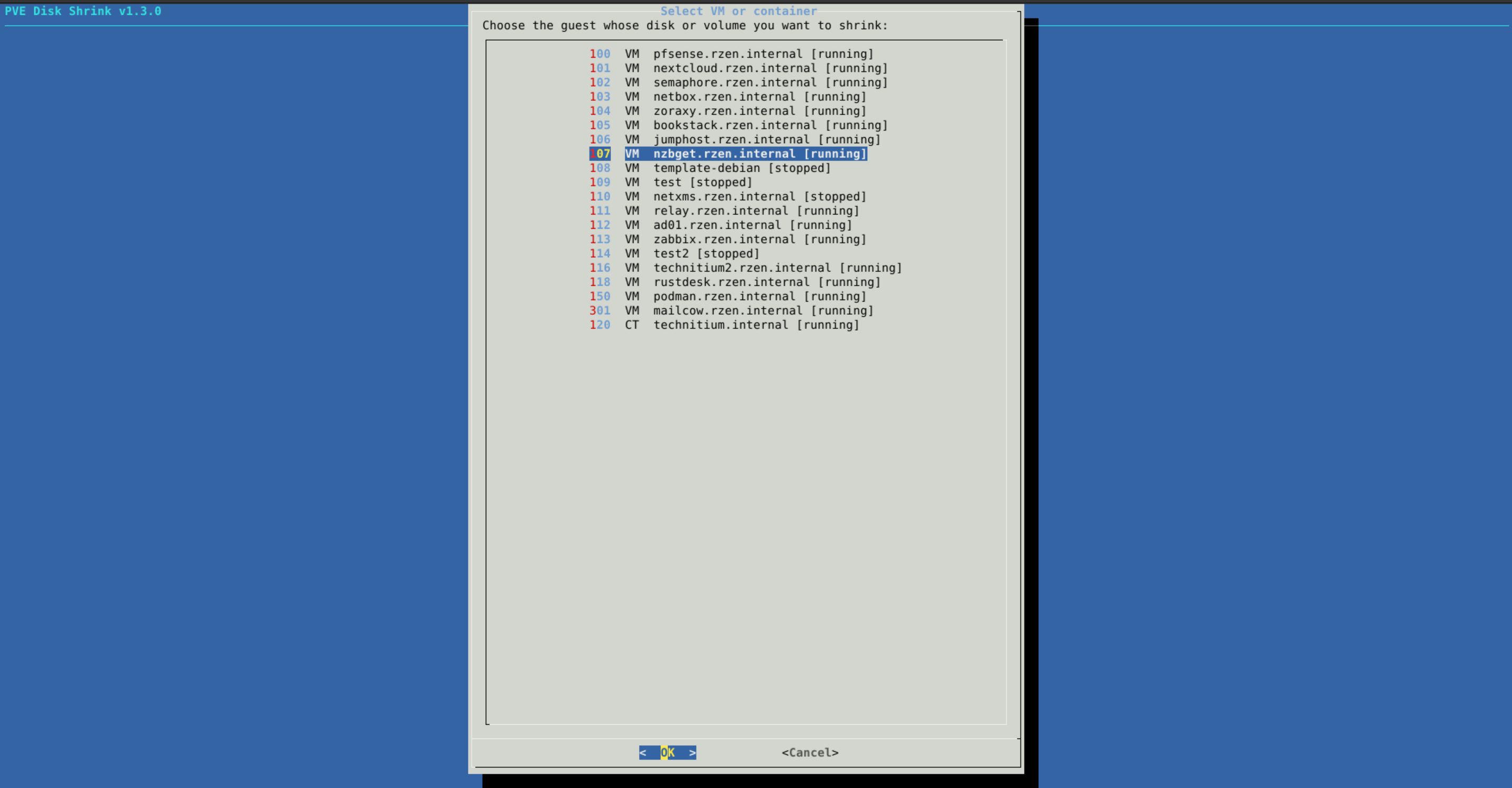 Auswahl des Gasts in pve-disk-shrink