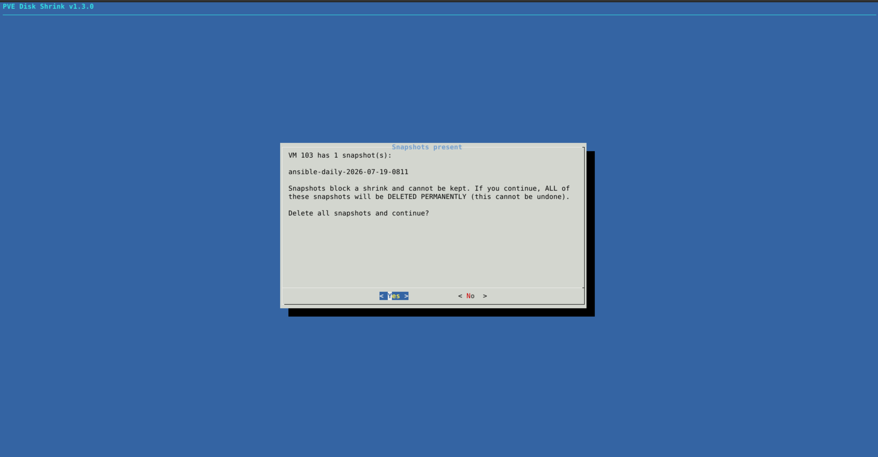 Snapshot-Warnung vor dem Shrink